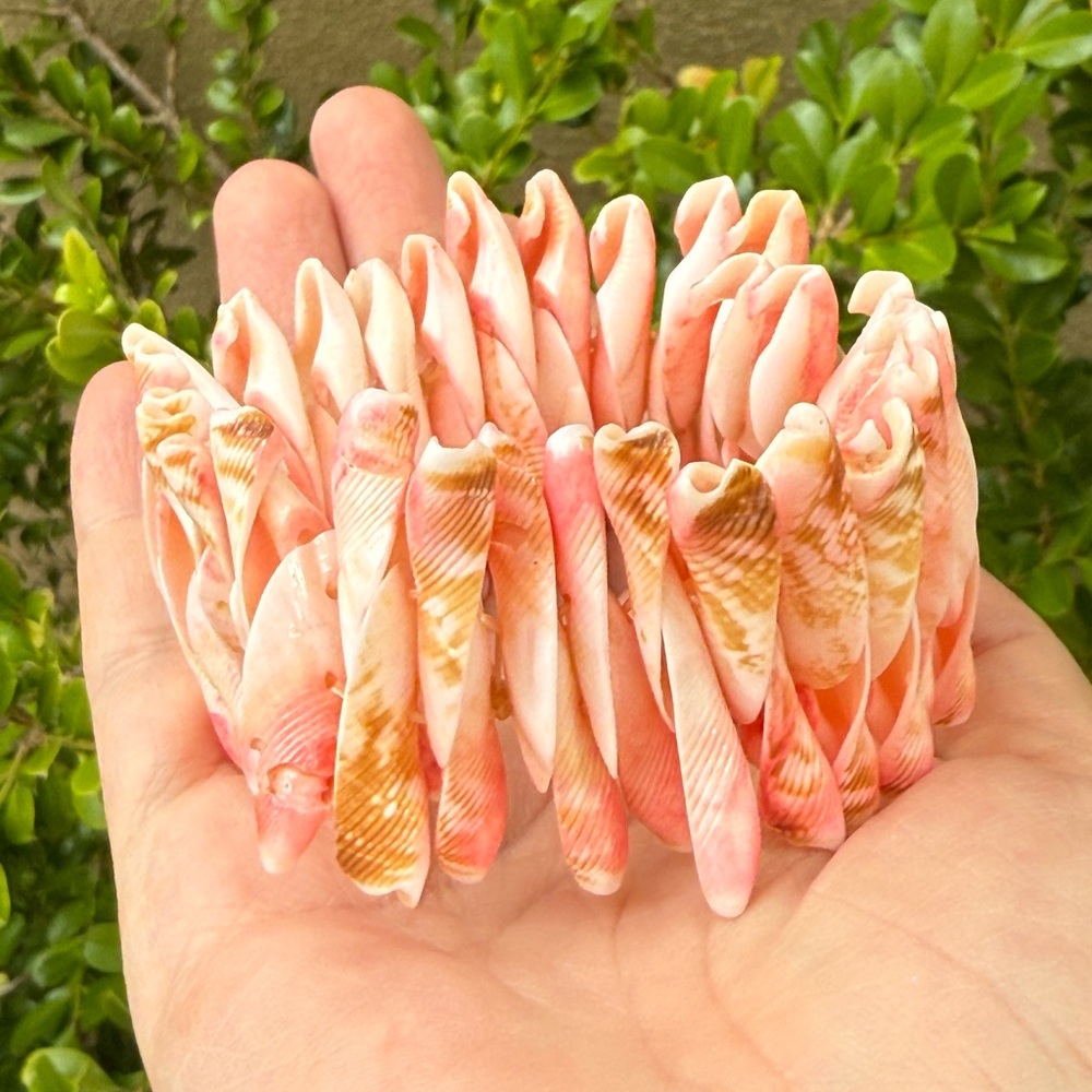 Pink and cream conch shell stretchy bracelet bangle